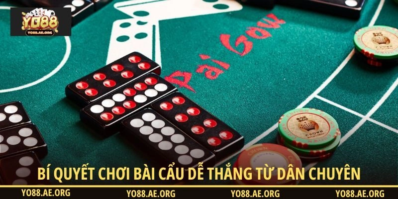 Bí quyết chơi Bài Cẩu dễ thắng từ dân chuyên