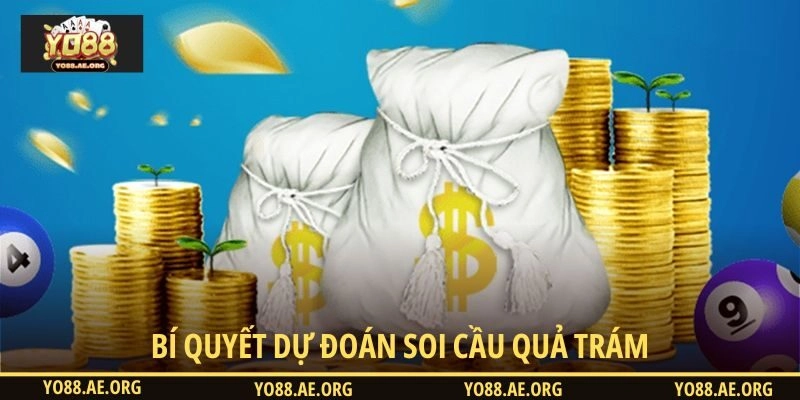 Bí quyết dự đoán soi cầu quả trám
