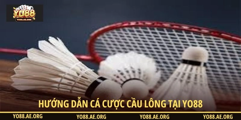 Những điều bạn cần biết về cá cược cầu lông Yo88