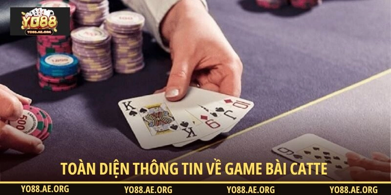 Hiểu nhanh về catte và cách chơi cơ bản