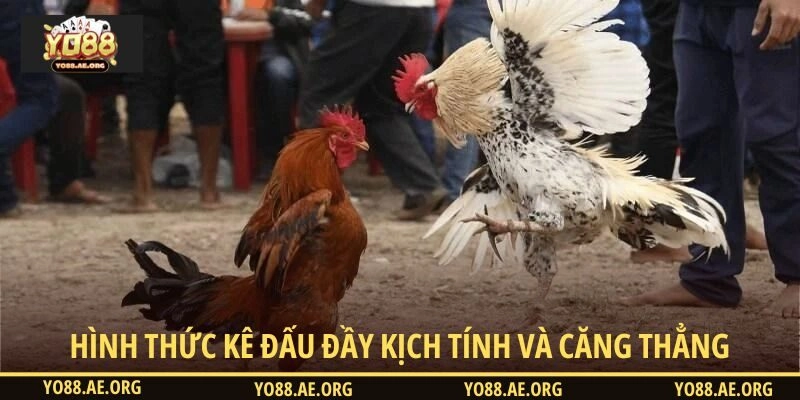 Hình thức kê đấu đầy kịch tính và căng thẳng