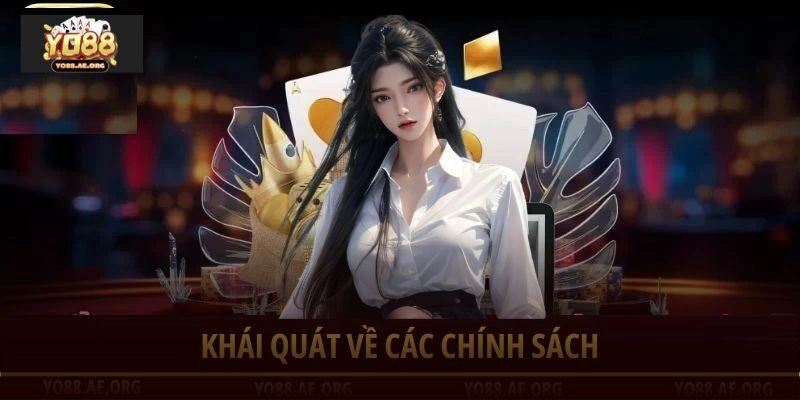 Khái quát về các chính sách
