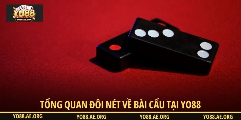 Tổng quan đôi nét về Bài Cẩu tại YO88